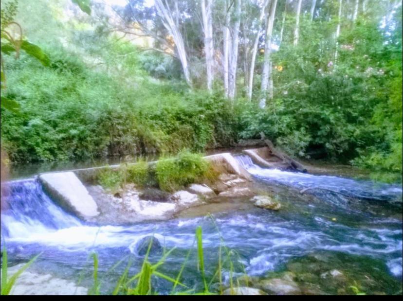 Alto De Torrecillas El Bosque Ngoại thất bức ảnh