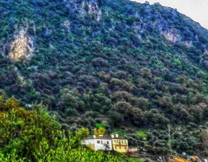 Alto De Torrecillas El Bosque Ngoại thất bức ảnh