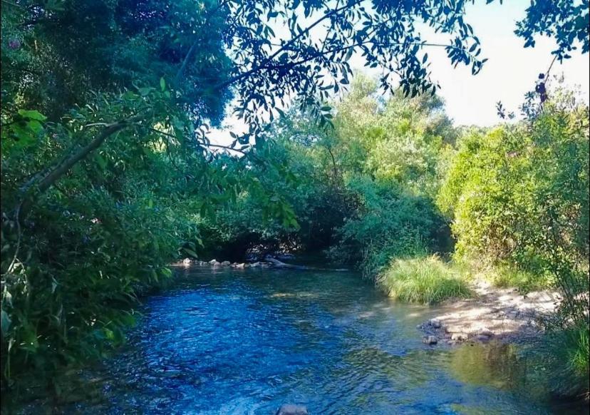 Alto De Torrecillas El Bosque Ngoại thất bức ảnh